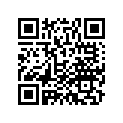 42711-GFM-B10 Tire