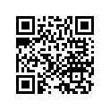 42711-KB4-672 Tire (110/90s16)