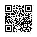 42711-KB4-673 Tire (110/90-16s)