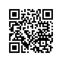 42711-KK1-751 Tire