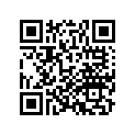 42711-MGZ-D81 TIRE, RR. (160/60ZR17 M/C 69W) (PIRELLI)