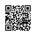 42711-MKN-D51 TIRE (180/55ZR17)