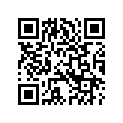 4286306 RUBBERBUMPER