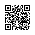 42941-963-000 ARM, L. RR.