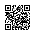 4297508B BRAKELINEASY,RR