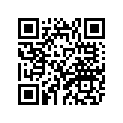 42N-25317-00-00 Шайба, подшипник