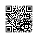 430111062 