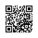 430411163 