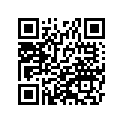 430411391FE 