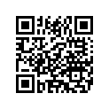 4306797 FRONTHUBCAP