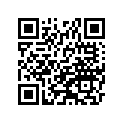 430781063 