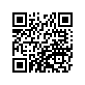 430951381 