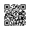 431-17211-01-00 