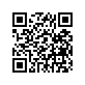 431-17411-00-00 