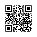 43105-HB9-008 Pad, Rr.