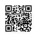 43106-GT4-004 Pad comp.b