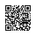 43120-383-900 Колодки тормозные задние