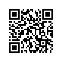43251-13G00 BRACKET,STOP LA