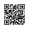 43300079 WHL,FR,5SPK,SLVR,19X3
