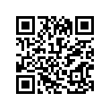 43811-31300 