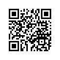 439-27411-00-00 Footrest 1