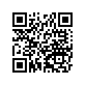 440261331 