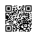 440291013 