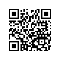 440291033 