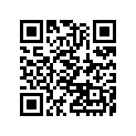 440331046 