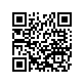 440331217 