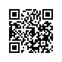 440391058 