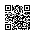 44070-1106-10 ダンパアッシ，フオ-ク，RH，ブラツク
