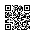 44100-29510-163 