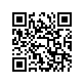 44100-38G00-YD8 TANK ASSY,FUEL(SILVER)
