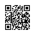44100-41411-163 