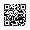 4411-376 DECAL,SIDE-RH-NAVY BLUE
