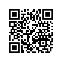 4411-967 DECAL,WARNING DASH