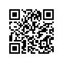44110-40200-163 