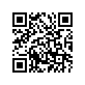 445-17411-00-00 