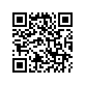 44606-357-305 SPOKE A, FR.