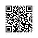 44643C31000J000 