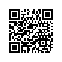 447-11631-01-97 