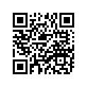 447-23131-51-33 