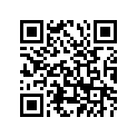 447-24245-10-00 
