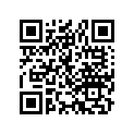 44711-166-673 Tire (2.50-18) (4pr)