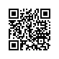 44711-174-671 Tire (2.25-17) (6pr)