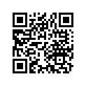 44711-230-000 Tire,300-16nt-77