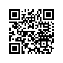 44711-292-673 Tire, fr. (3.25-18&quot;)