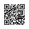 44711-312-003 Tire, fr. (3.25-19)