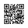 44711-313-003 Tire (3.00-19) (4pr)